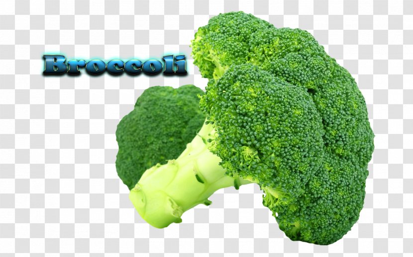 Broccoli Organic Food Vegetable Cauliflower Cabbage - Mustards Transparent PNG