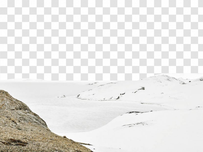 Svalbard Arctic Liefdefjorden Photography Landscape - Black And White - Iceberg World Transparent PNG