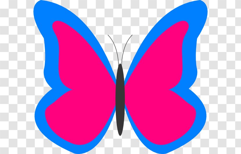 Butterfly Free Content Clip Art - Drawing - Cartoon Cliparts Transparent PNG