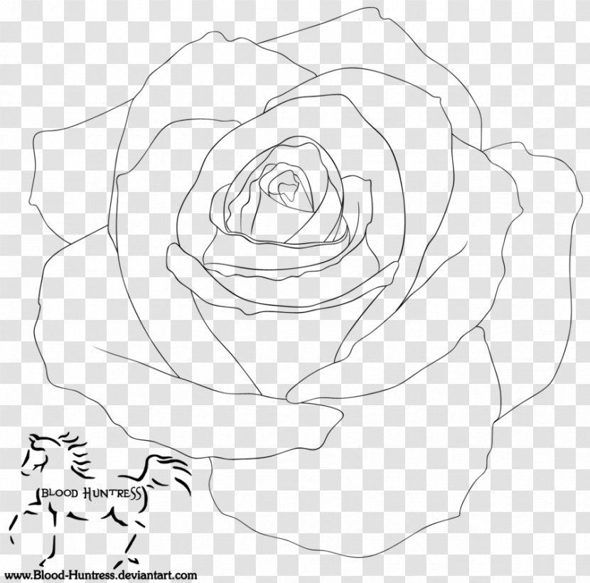 Garden Roses Line Art Floral Design - Petal Transparent PNG
