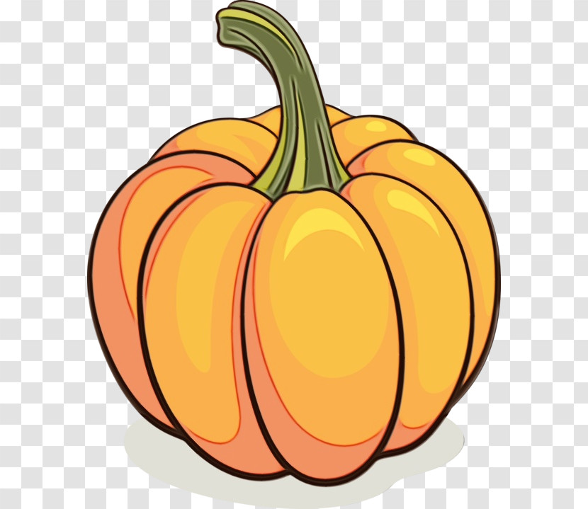 Pumpkin Transparent PNG