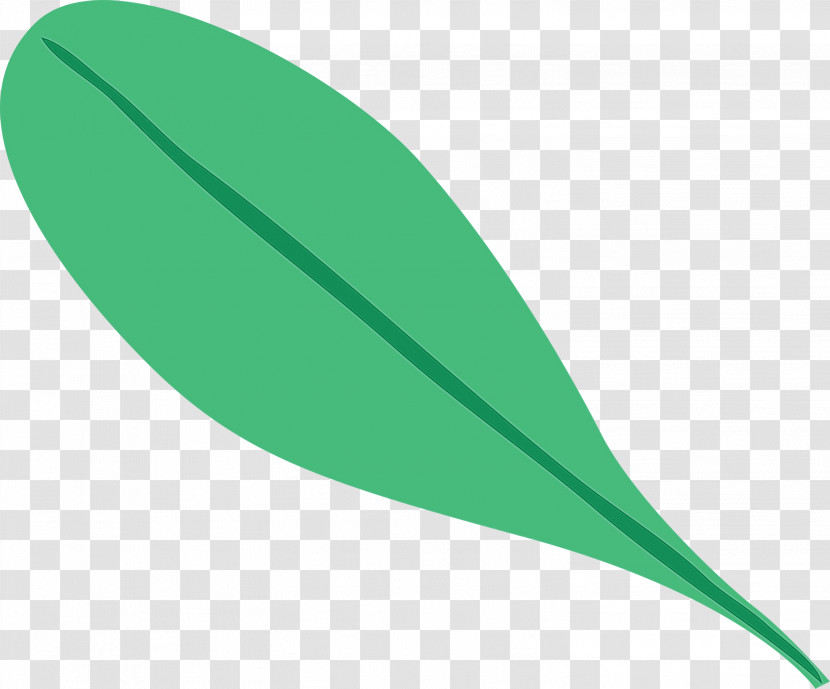 Leaf Plant Stem Green Font Line Transparent PNG