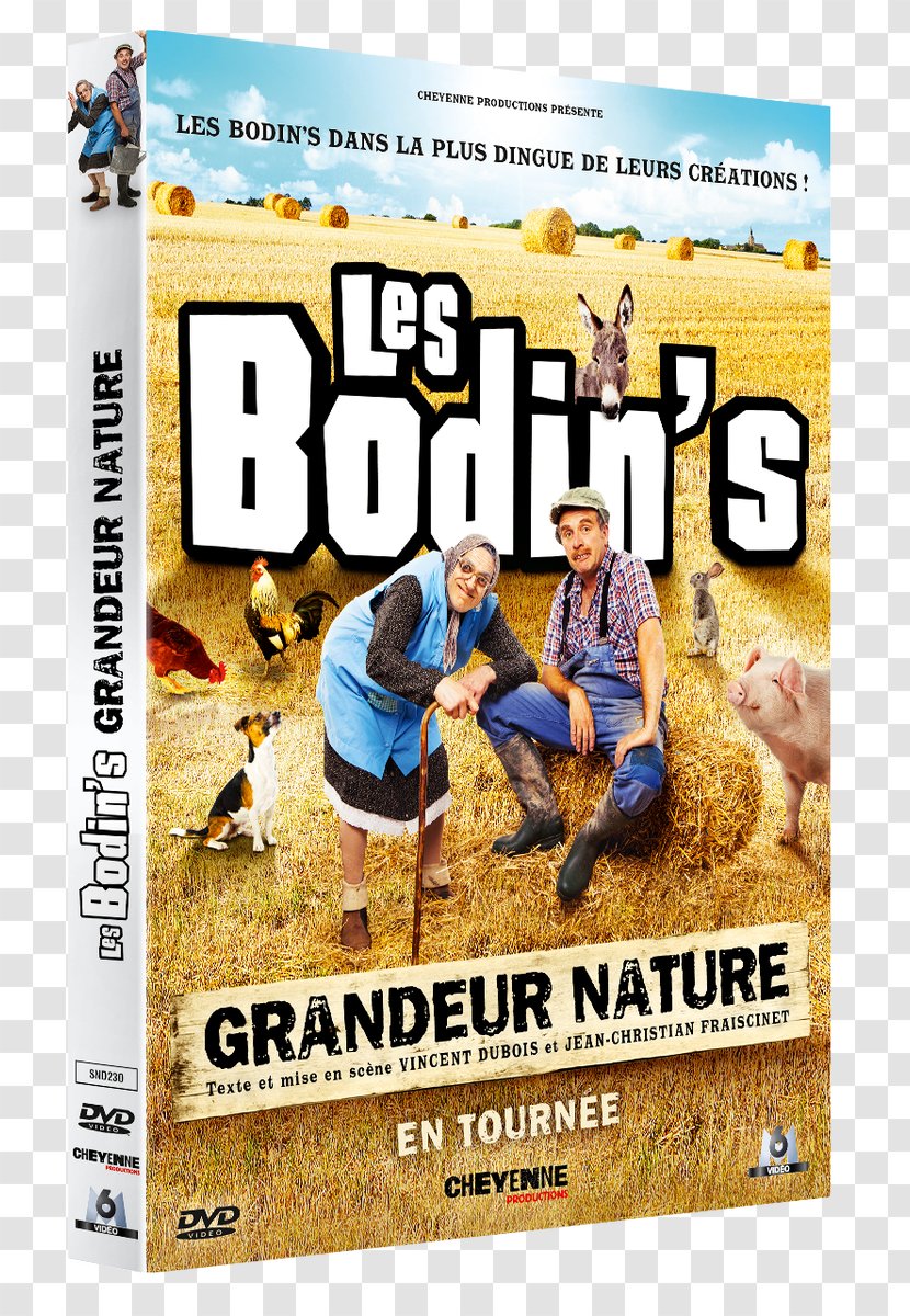 Les Bodin’s Grandeur Nature Le P'tit Lexique Des Bodin's France Blu-ray Disc - Advertising Transparent PNG