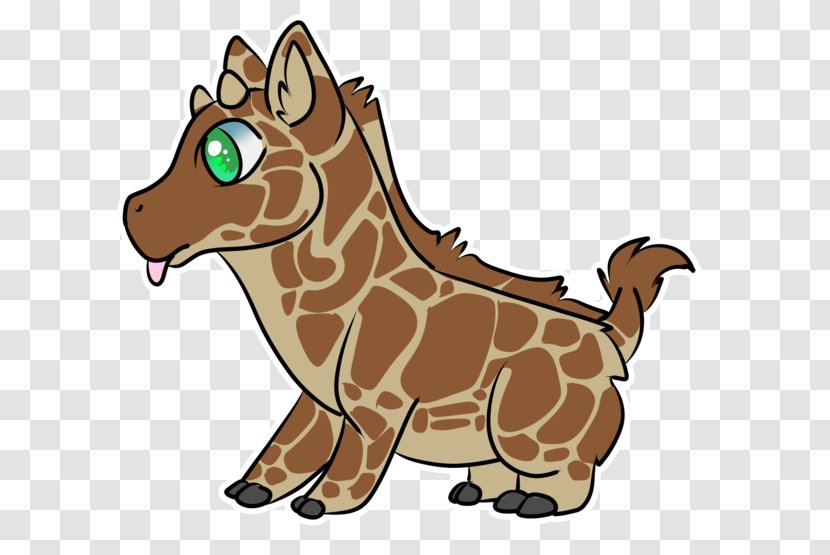 Horse Cat Giraffids Mammal Terrestrial Animal - Like Transparent PNG