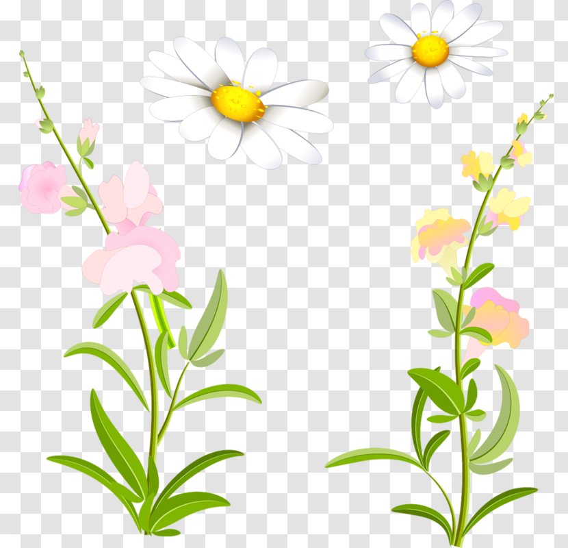 Floral Design Cut Flowers Plant Stem Wildflower - Floristry - Flower Transparent PNG