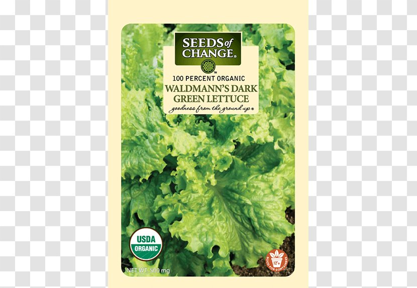 Romaine Lettuce Organic Food Red Leaf Vegetable Transparent PNG