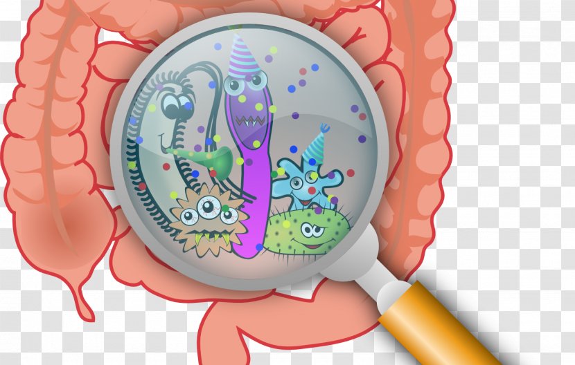 Gastrointestinal Tract Disease Gut Flora Small Intestinal Bacterial Overgrowth - Watercolor - Bacteria Transparent PNG