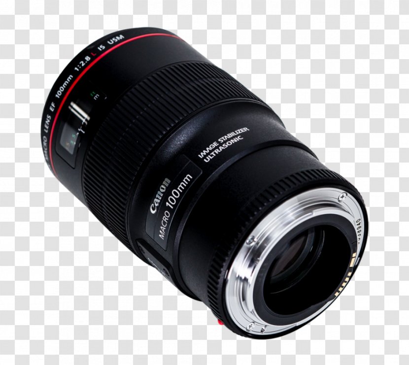 Digital SLR Canon EF Lens Mount Camera 100mm F/2.8 Macro USM Single-lens Reflex - Ef Transparent PNG