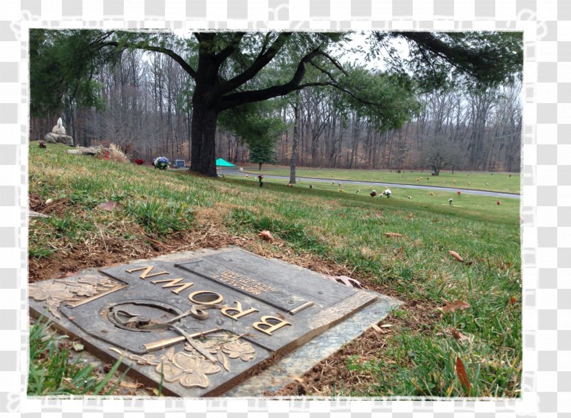 Cemetery Headstone Land Lot Landscape - Tree Transparent PNG