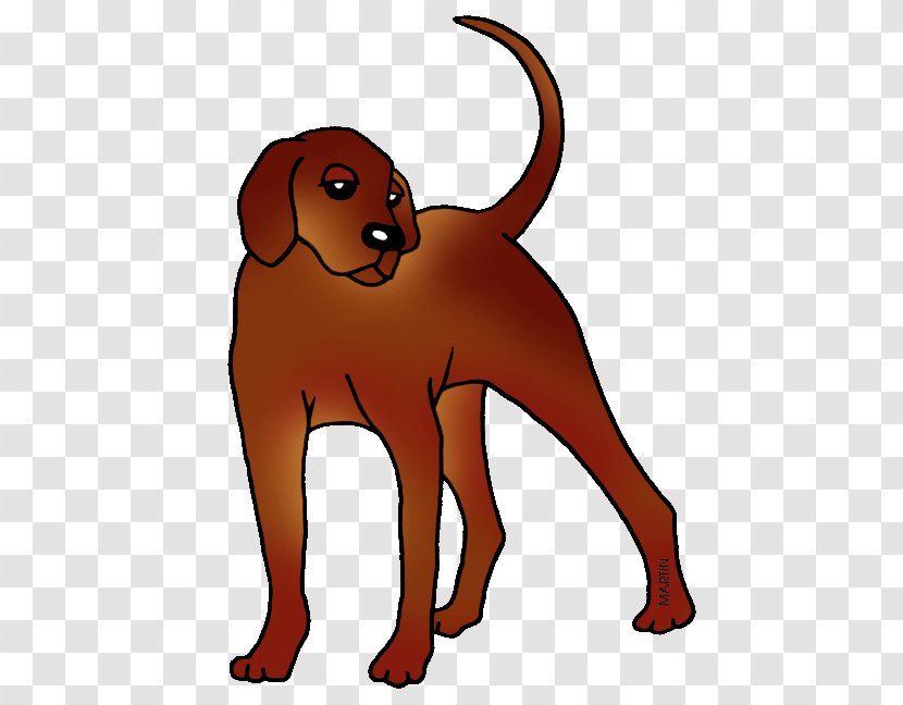 Nova Scotia Duck Tolling Retriever Puppy Dog Breed Louisiana Catahoula Leopard Plott Hound - Nose Transparent PNG