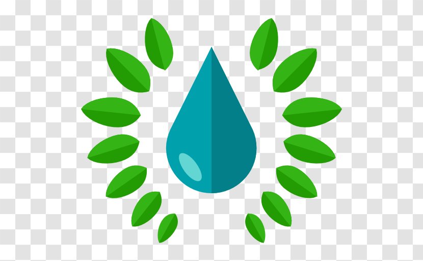 Water - Plant Stem - Drop Transparent PNG