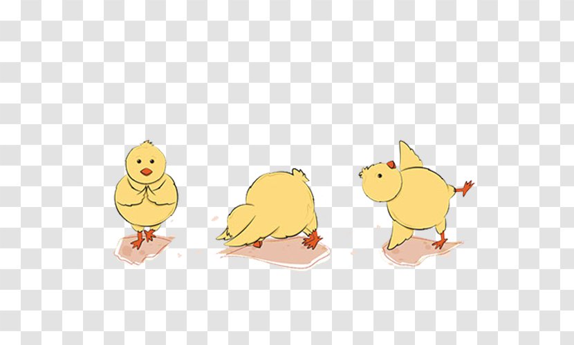 Little Yellow Chicken Yoga Easter Illustration - Vertebrate - Chickens Transparent PNG