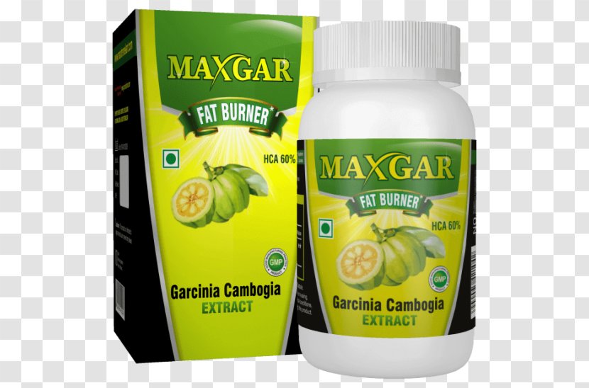 Dietary Supplement Garcinia Cambogia -MaxGar Capsule Green Coffee Extract - Diet Transparent PNG