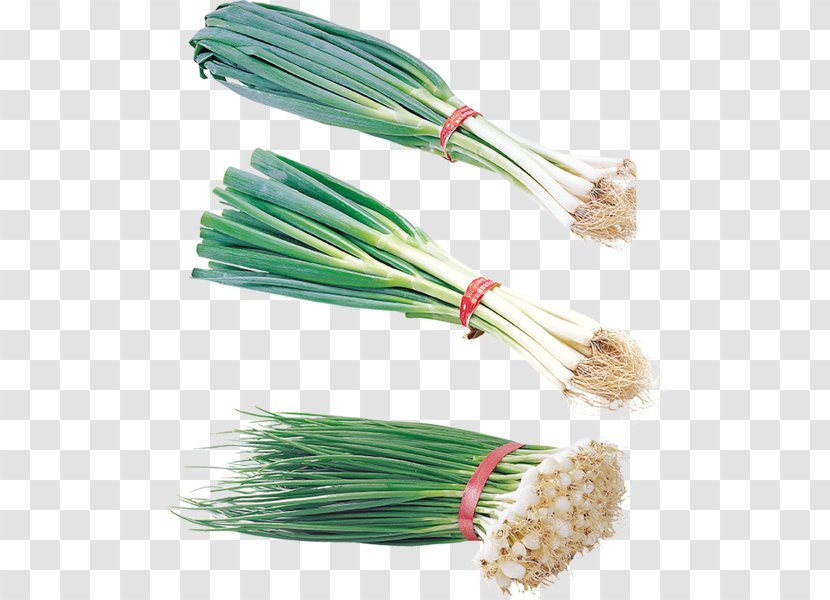 Allium Fistulosum Onion Garlic Clip Art - Ingredient Transparent PNG