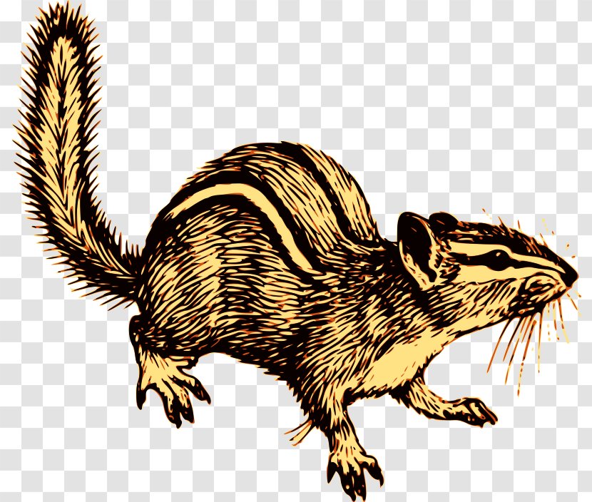 Chipmunk Squirrel Alvin Seville Rodent Clip Art - Fauna Transparent PNG