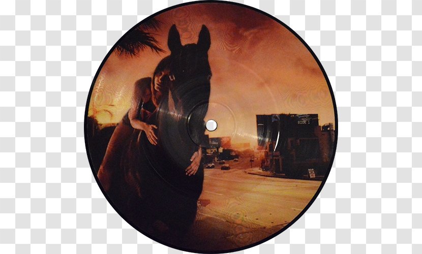 Dani California Red Hot Chili Peppers Stadium Arcadium Phonograph Record Song - Flower - Cartoon Transparent PNG