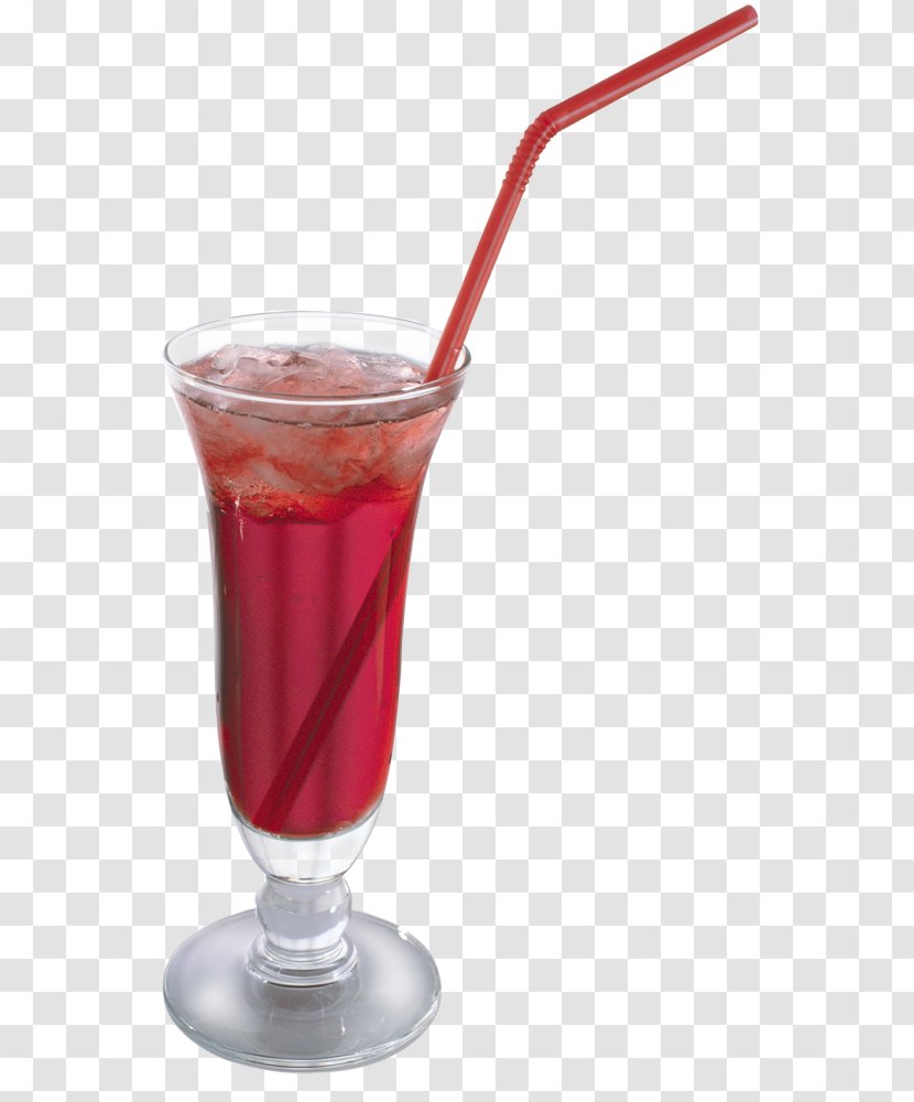 Cocktail Garnish Martini Fizzy Drinks Bachelorette Party - Drink Transparent PNG