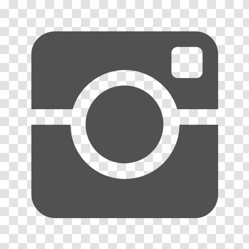 Instagram Vector - Color - Logo Transparent PNG
