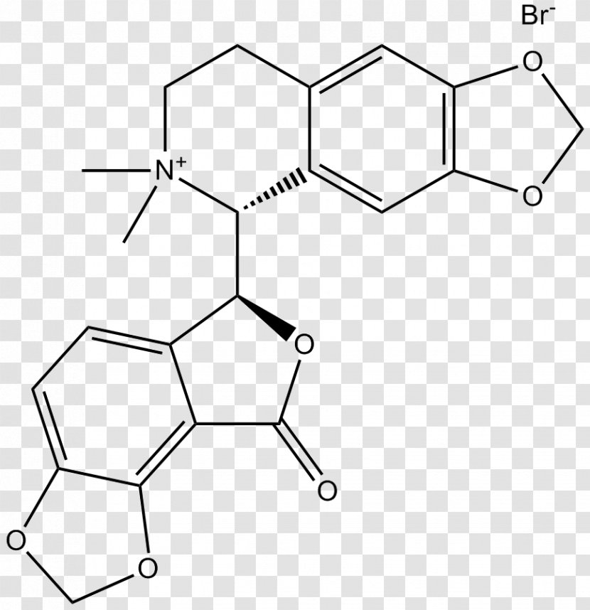 Drawing White Point - Tryptophan - Angle Transparent PNG