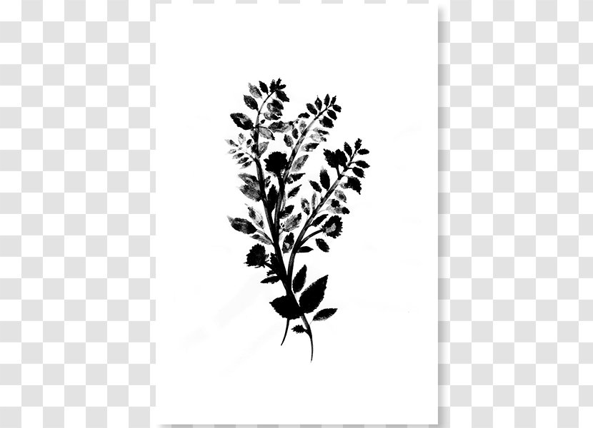 Art Museum Floral Design - Plant Stem Transparent PNG