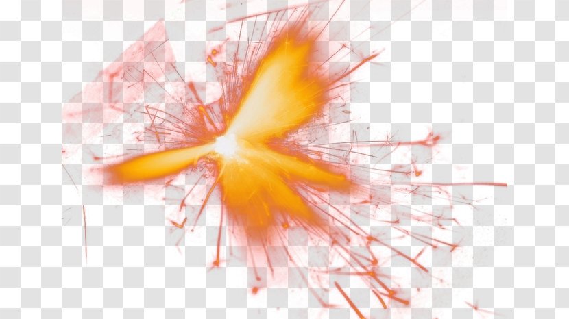 Petal Close-up - Orange - Fireworks Transparent PNG