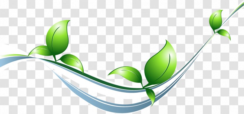 Natural Environment Desktop Wallpaper - Plant Stem Transparent PNG