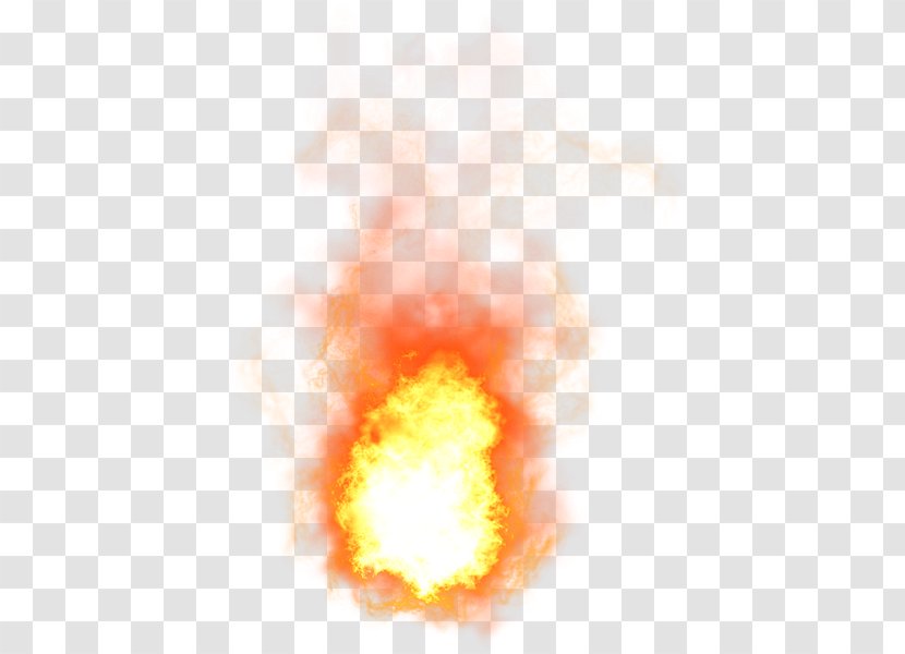 Fire Explosion - Flower Transparent PNG