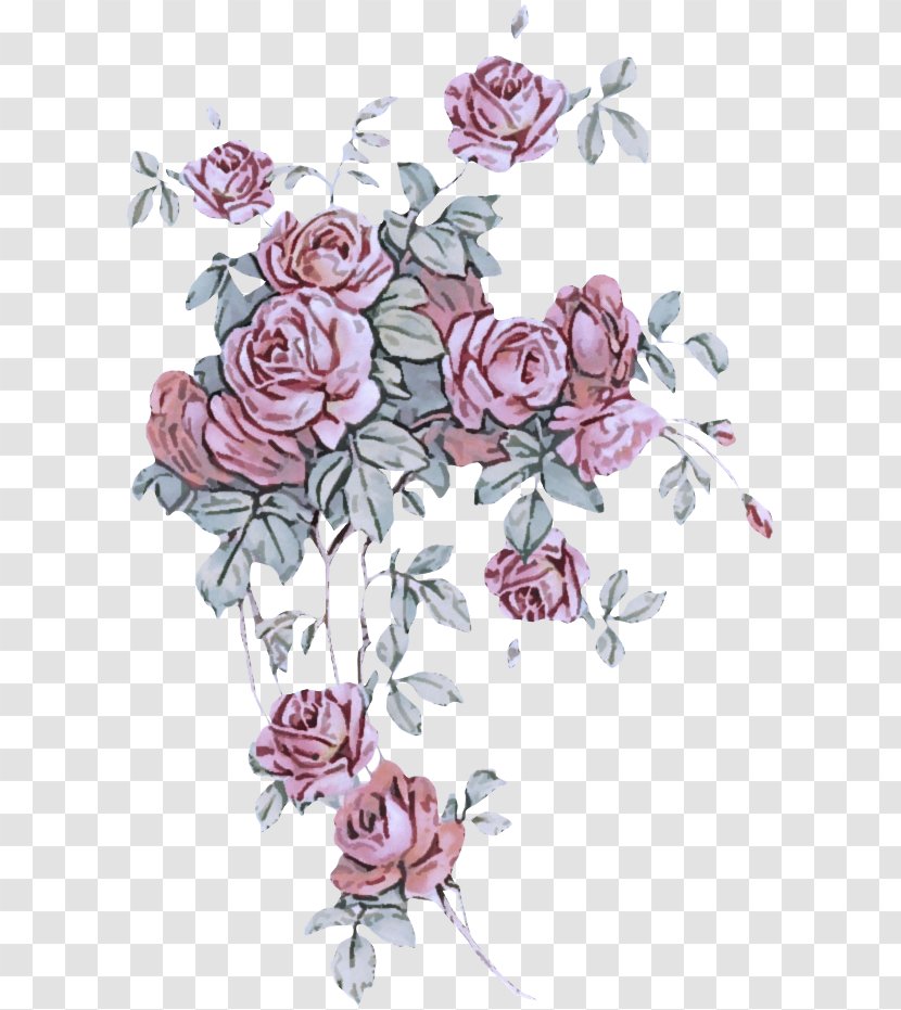 Floral Design - Pedicel Transparent PNG