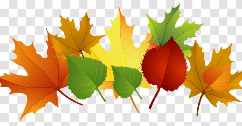 Clip Art Openclipart Autumn Leaf Color Image - Maple Transparent PNG
