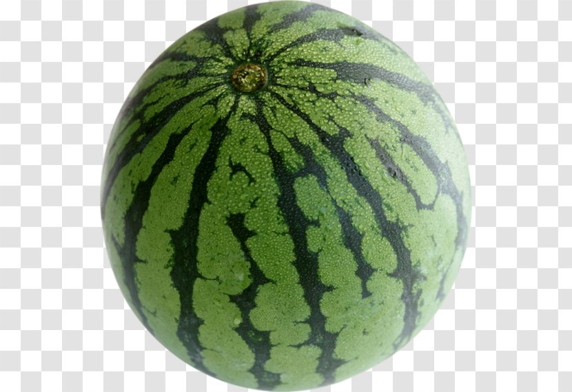 Watermelon Fruit Muskmelon Cucurbita Pepo Var. Giromontiina - Food Transparent PNG