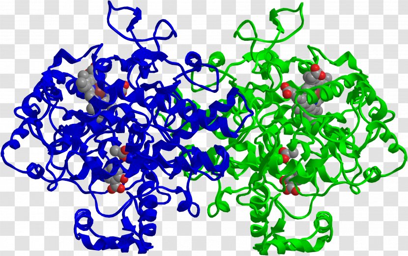 Cyclooxygenase Prostaglandin-endoperoxide Synthase 2 Mechanism Of Action Aspirin PTGS1 - Artwork - Willow Bark Transparent PNG