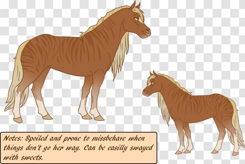 Foal Stallion Mare Mustang Colt - Livestock Transparent PNG