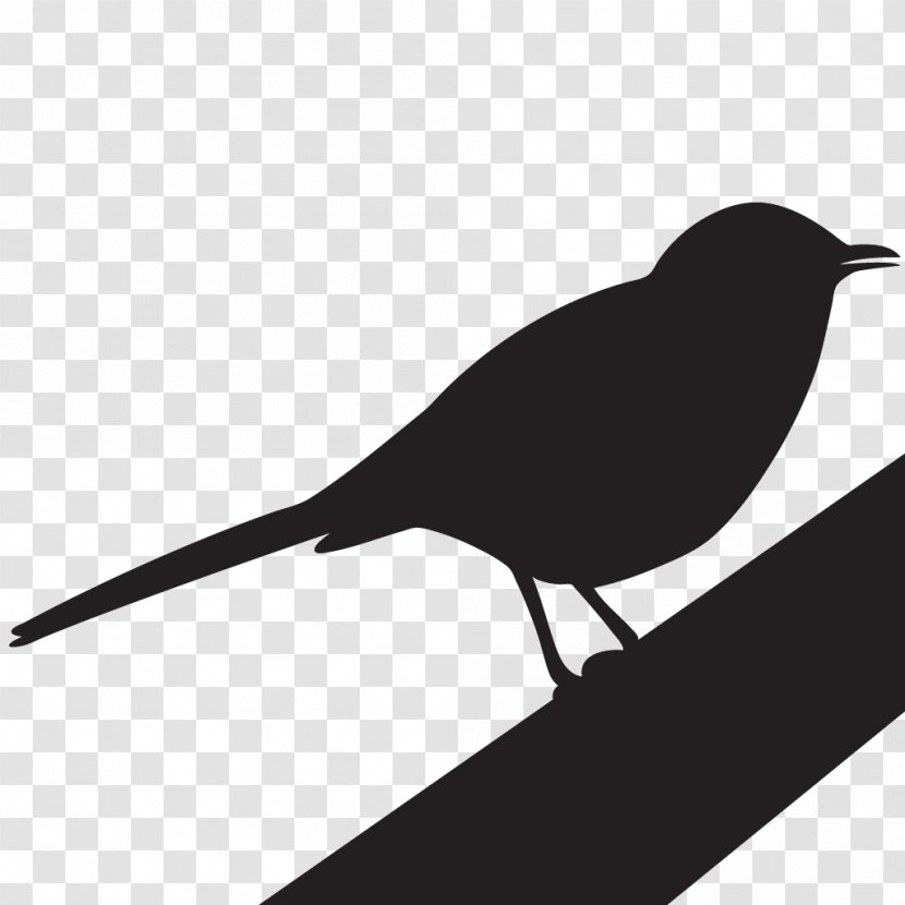 To Kill A Mockingbird Clip Art Image - Beak - Wading Birds Transparent PNG