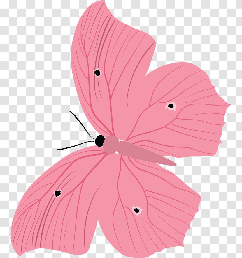 Butterfly Petal Malvales - Insect Transparent PNG