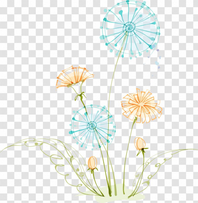 Image Illustration Design Drawing Cartoon - Floral - Common Dandelion Transparent PNG