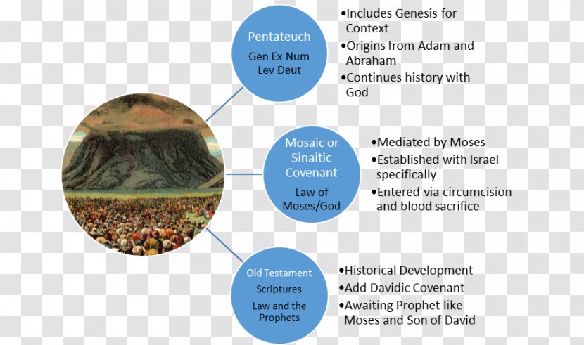 Management Of HIV/AIDS Coinfection - Infertility - Westminster Statute Anniversary Transparent PNG