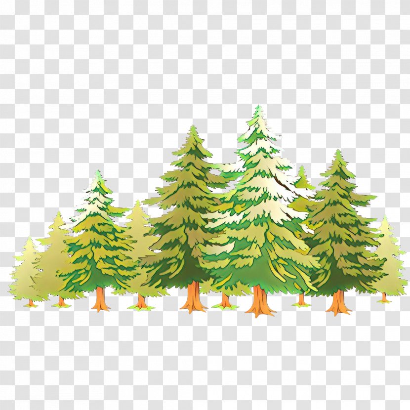 Christmas Tree - Spruce Transparent PNG