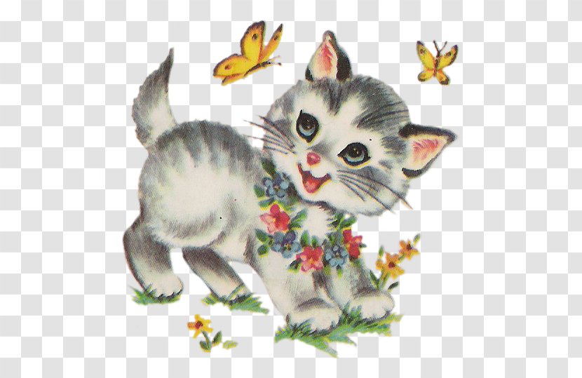 Kitten Tabby Cat Whiskers Sass & Belle Transparent PNG
