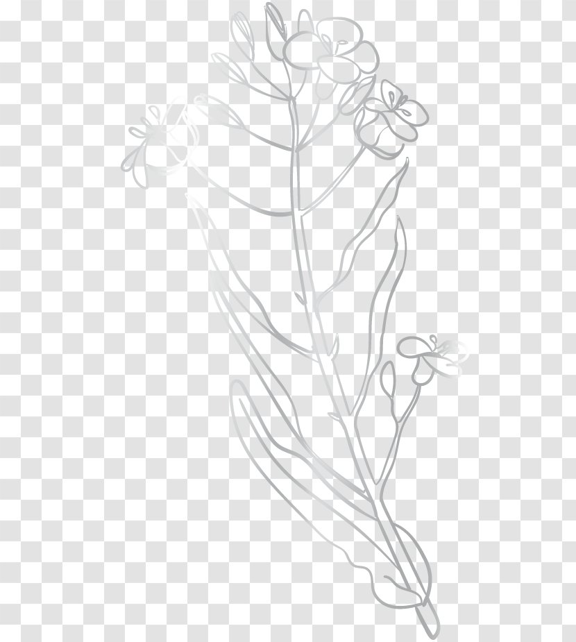 Twig Floral Design Leaf Sketch - Organism - Mensch Symbol Transparent PNG