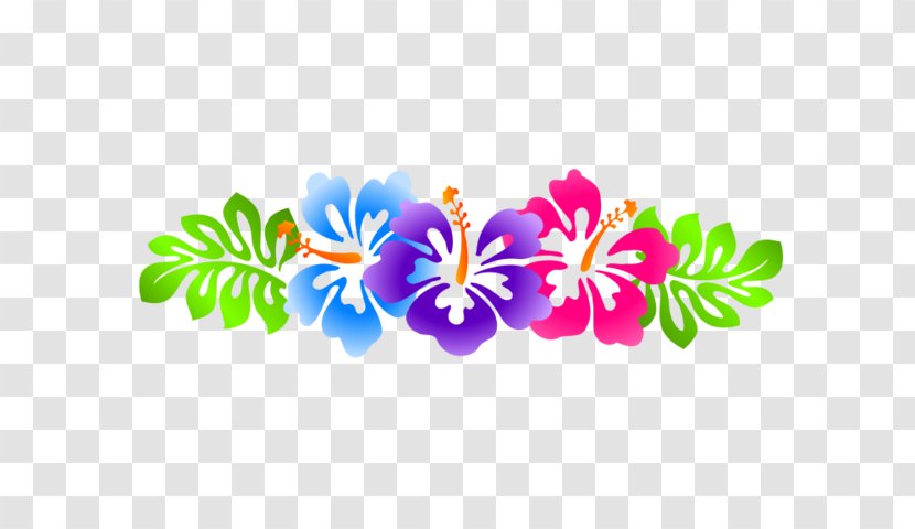 Clip Art Borders And Frames Rosemallows Vector Graphics Image - Flowering Plant - Hawaii Border Transparent PNG