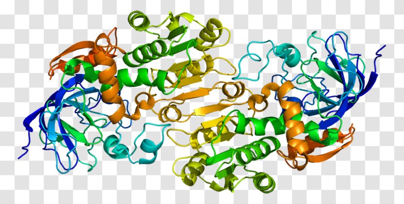 Alcohol Dehydrogenase Enzyme Formate - Oxidoreductase - Retinol Transparent PNG