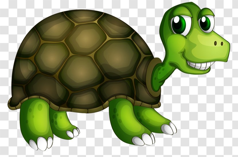 Turtle Royalty-free Illustration - Drawing - Smiling Little Transparent PNG