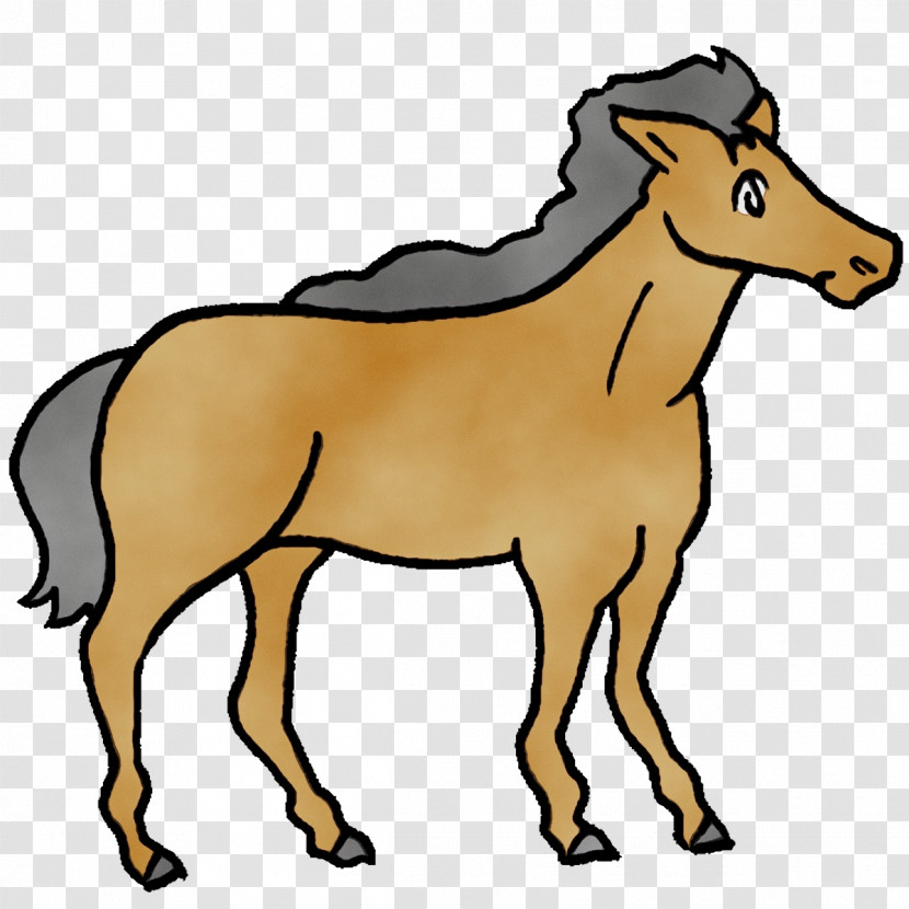 Foal Stallion Mustang Bridle Cartoon Transparent PNG