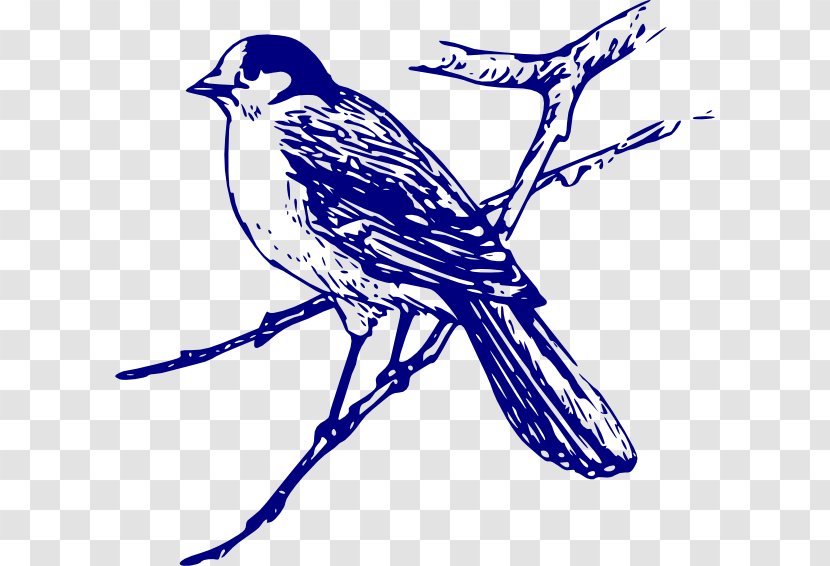 Bluebird Clip Art - Artwork - Blue Bird Transparent PNG