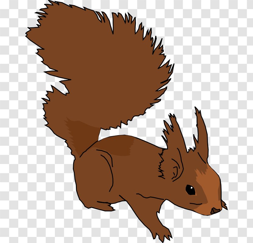 Squirrel Free Content Clip Art - Hare - Pic Transparent PNG