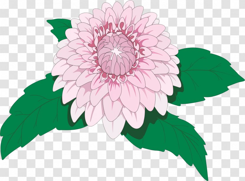 Drawing Dahlia Imperialis Flower Clip Art - Illustration Transparent PNG