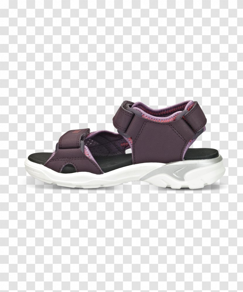 Suede Sandal Shoe - Footwear Transparent PNG