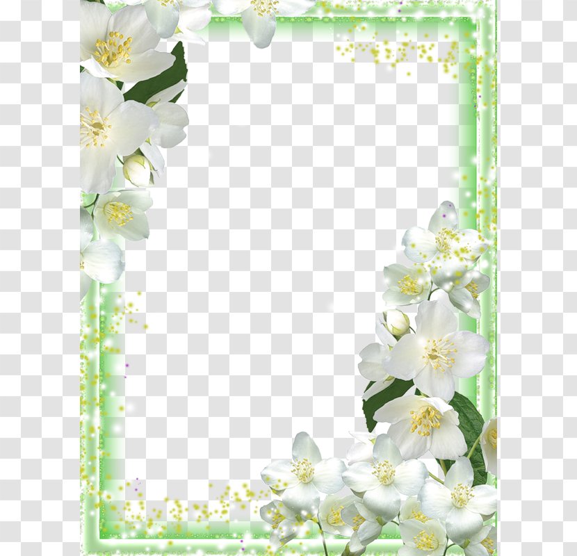 Picture Frames Orchids - Floral Design - Lily Frame Transparent PNG