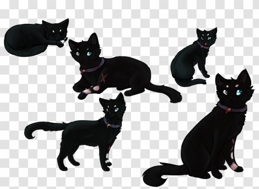 Black Cat Kitten Domestic Short-haired Whiskers - Small To Medium Sized Cats Transparent PNG
