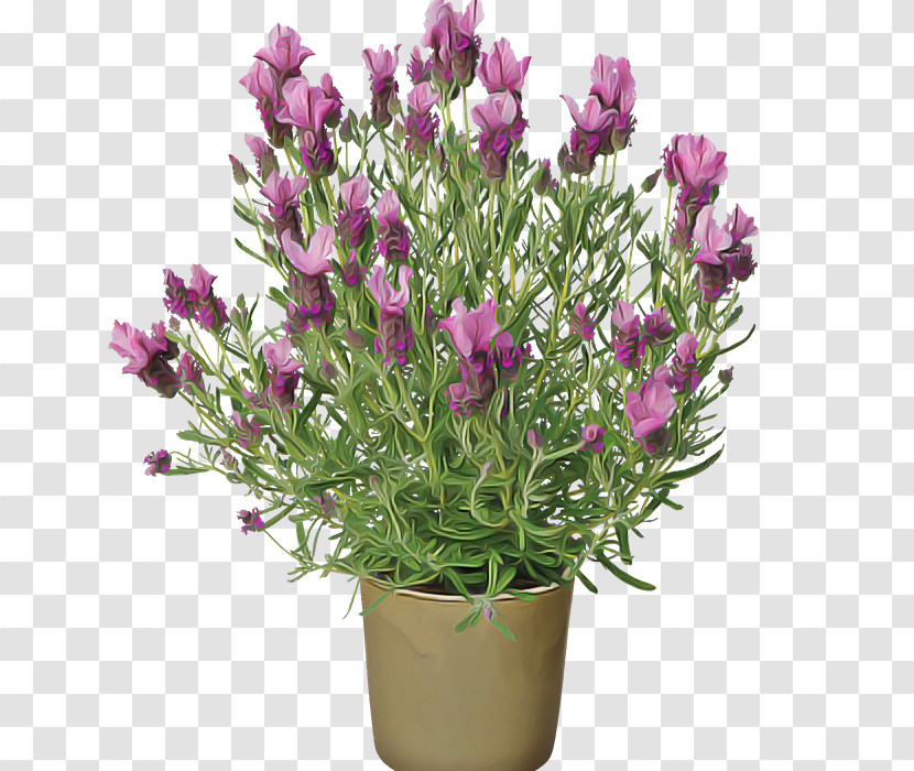 Artificial Flower Transparent PNG